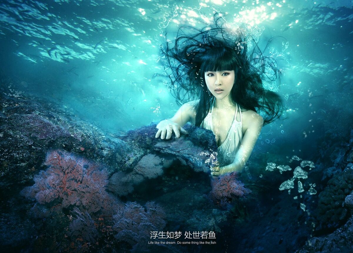 久久99精品久久久久久久不卡